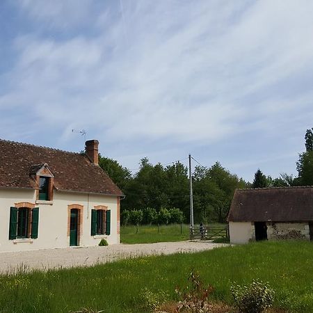 Вілла Les Brosses Mur-de-Sologne Екстер'єр фото